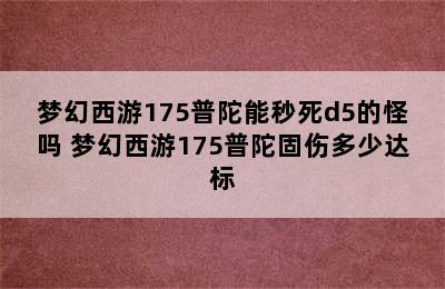 梦幻西游175普陀能秒死d5的怪吗 梦幻西游175普陀固伤多少达标